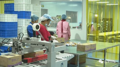 云夢經(jīng)濟(jì)開發(fā)區(qū) 以完善服務(wù)體系為抓手，實(shí)現(xiàn)政企雙贏的信息系統(tǒng)運(yùn)行維護(hù)新篇章